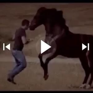 Meet your Posher, Sergio